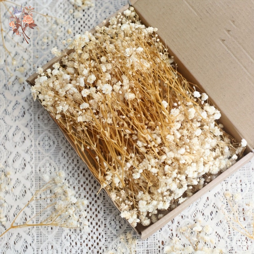 Resin Craft Ideas - 100 mini-fleurs séchées de gypsophile pour