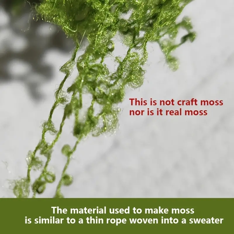 Plantes vertes artificielles e - Terrarium Moss Art avis et prix