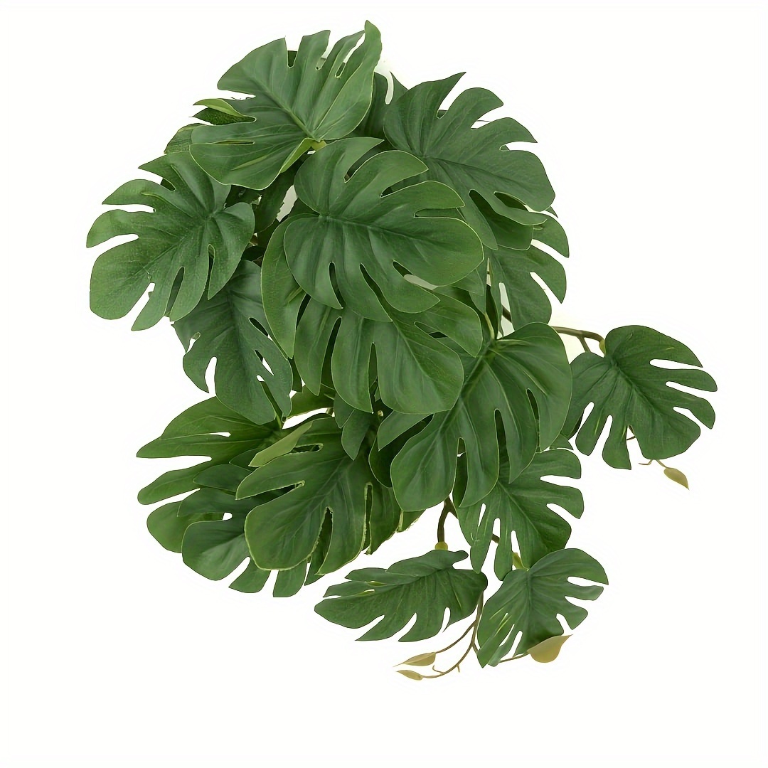 Plantes pour terrarium, plante - Terrarium Moss Art avis et prix