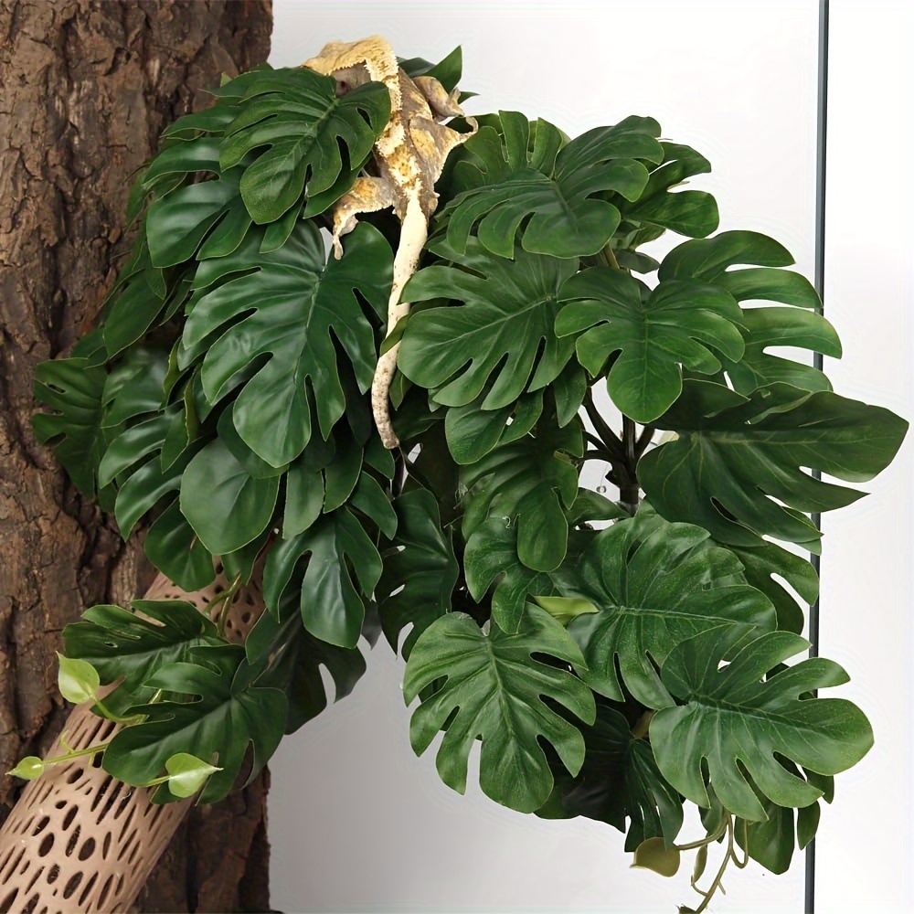 Plantes pour terrarium, plante - Terrarium Moss Art avis et prix