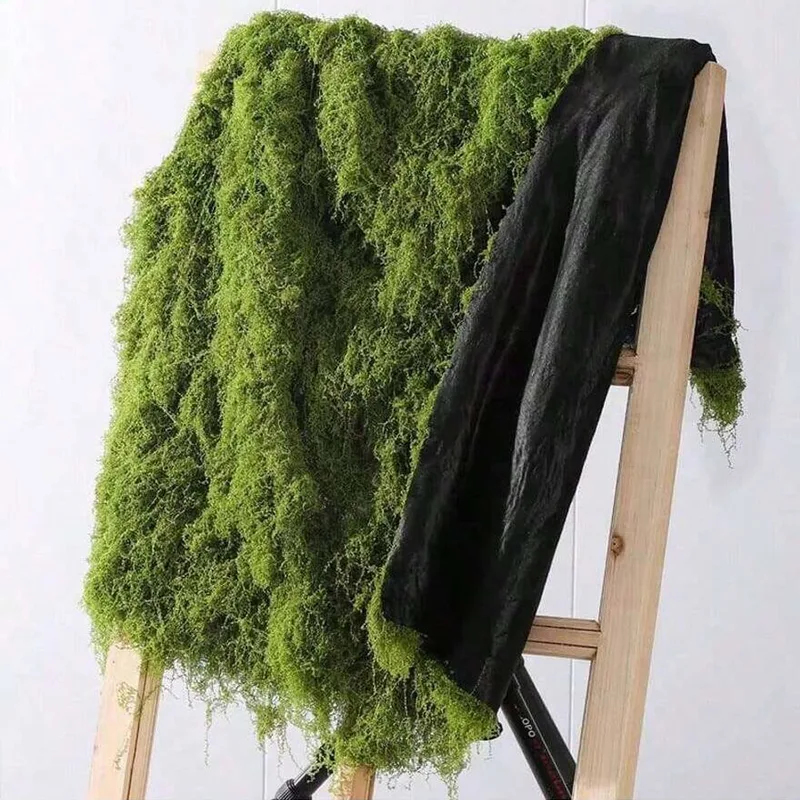 Mousse artificielle pour la dé - Terrarium Moss Art avis et prix